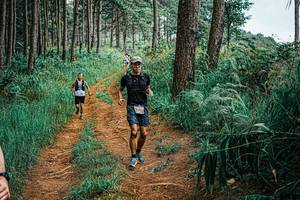 BIB: 
                            <button type="button" onclick="openModal(25652760)" class="btn btn-primary btn-sm float-right btn-popup" data-toggle="modal" data-target=".modal-high-quality">
                        <i class="fas fa-shopping-cart"></i> Add to Cart
                    </button>
                                            <button type="button" onclick="isThisMe(25652760, true)" class="btn btn-success btn-sm float-right btn-popup btn-isme hidden" data-toggle="tooltip" data-placement="bottom" title="นี่คือรูปของคุณใช่ไหม คลิกที่นี่เพื่อเอาเข้าอัลบั้ม">
                        <i class="fas fa-plus"></i> Add to album
                    </button>
                    <button type="button" onclick="isThisMe(25652760, false)" class="btn btn-warning btn-sm float-right btn-popup btn-isnotme hidden">
                        <i class="fas fa-ban"></i> Remove from album
                    </button>